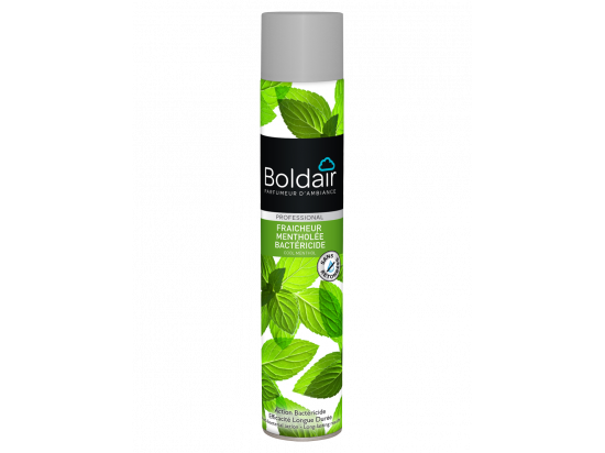 Odświeżacz powietrza miętowy (antybakteryjny)