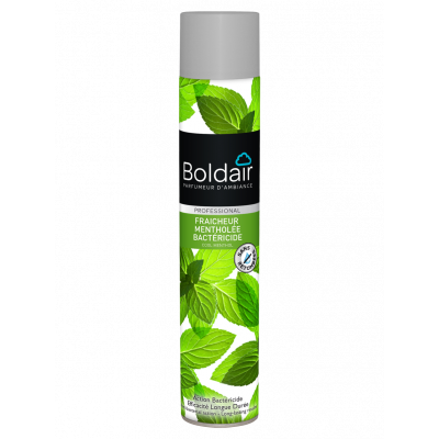 Odświeżacz powietrza miętowy (antybakteryjny)